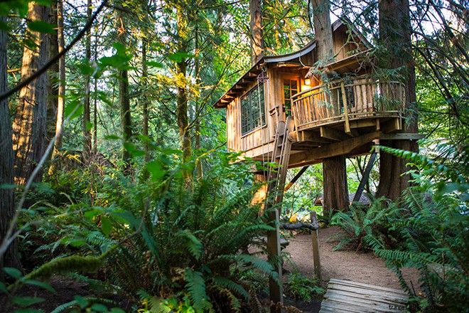 9 Hotel Rumah Pohon yang Akan Membuat Anda Merasa Seperti Anak Kecil Lagi 